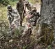Grey zone warfare: The silent war India must win against Pakistan and China