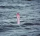 Over 20 migrants dead, dozens missing as boat sinks off Yemen