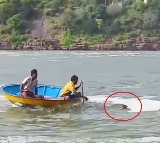 Nagar Kurnool Man Rescued from Drowning in Krishna River