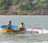 Nagar Kurnool Man Rescued from Drowning in Krishna River