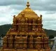 LV Subramanyam advises TTD against AI Darshan plan
