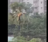 Gachibowli Hit by Lightning Strike People Panic