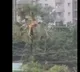 Gachibowli Hit by Lightning Strike People Panic