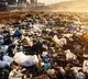 Plastic pollution is underrecognised threat to health The Lancet