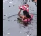 Father becomes real life Bahubali to save baby in floods