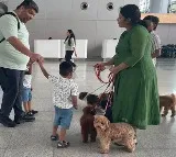 Hyderabad Airport Introduces Therapy Dogs To Help Travellers Deal With Anxiety