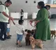 Hyderabad Airport Introduces Therapy Dogs To Help Travellers Deal With Anxiety