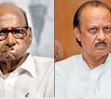 Sharad Pawar Ajit Pawar Attend Family Event Amid Political Differences