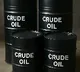 How US encouraged India to buy Russian oil to stabilise global energy markets