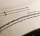 Russia Kamchatka Experiences 5 Magnitude Earthquake