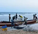 14 TN fishermen arrested by Sri Lankan Navy