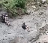 413 pilgrims rescued from Kinnaur Kailash trek by ITBP, NDRF after bridges washed away in Himachal