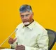 Chandrababu Naidu AP Cabinet Meeting Today Key Discussions