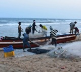 Sri Lanka Navy Arrests 14 Tamil Nadu Fishermen