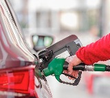 E20 Petrol Is using E20 petrol profitable or a loss What did the Center say