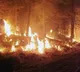 France battles wildfire larger than Paris; one dead as blaze spreads rapidly