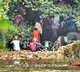 Mass grave case: Dharmasthala temple family approaches SC questioning quashing of restraining order