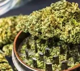 Hyderabad Medical College Students Caught Consuming Ganja