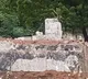 Devineni Avinash slams YSR statue removal in Nandigama