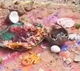 Black Magic Rituals at Kaleshwaram Temple Cause Panic