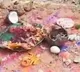 Black Magic Rituals at Kaleshwaram Temple Cause Panic