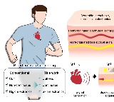 New bandage-like wearable monitor to enable continuous measurement of BP