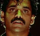 Nagarjunas Cult Classic Shiva Re release Ready