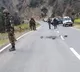 Gunfight erupts between security forces and terrorists in J&K’s Kishtwar