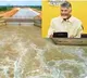 Chandrababu Naidu Elated by Krishna Water Flow in Handri Neeva