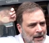 Delhi Police detain Rahul Gandhi, INDIA bloc MPs during protest march to ECI