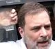 Delhi Police detain Rahul Gandhi, INDIA bloc MPs during protest march to ECI