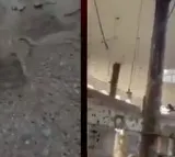 Air Force Shares Glimpse Of Attack On Terror Camps During Op Sindoor