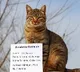 Bihar Cat Kumar Residence Certificate Application Filed