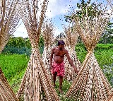 India bans imports of more goods from Bangladesh