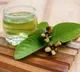 Guava Leaves Special Tea for Improved Eyesight