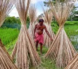 India bans imports of more goods from Bangladesh
