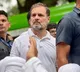 Rahul Gandhi Criticizes Supreme Court Order on Stray Dogs