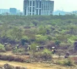 SC asks Telangana to restore green cover on Kancha Gachibowli land