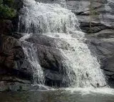 Sariya Waterfall Tourists Rescued in AP