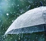 Telangana Rains School Holidays Declared in Five Districts