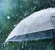 Telangana Rains School Holidays Declared in Five Districts