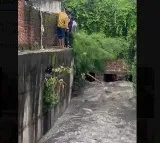 Corporator Rescues Man Who Fell into Drain in Hyderabad