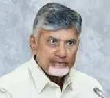 Chandrababu Reacts to Jagans Comments on Pulivendula Election