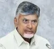 Chandrababu Reacts to Jagans Comments on Pulivendula Election