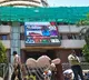 Nifty, Sensex open flat; IT, pharma stocks rally