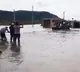 Heavy rain pounds parts of Telangana, hits road transport
