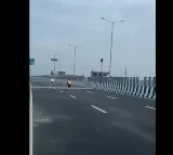 Road Accident Two Killed in Bike Stunt Accident on Delhi Dehradun Expressway