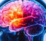 UK study identifies 8 new schizophrenia genes