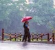 Kerala braces for intense monsoon, orange alert issued for two districts