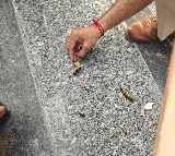 Gunmen fire several rounds at YouTuber Elvish Yadav's Gurugram home